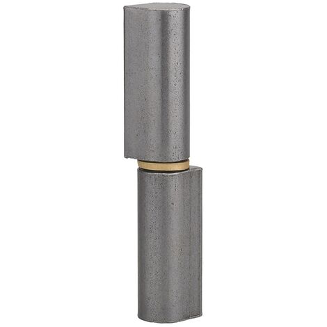 Cerniera da saldare per porta in metallo, acciaio INOX, 160mm, collare in ottone - THIRARD