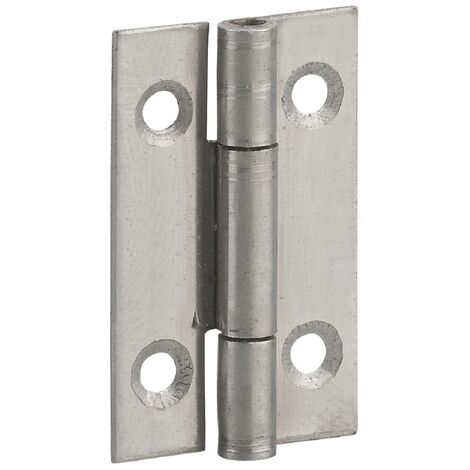 Cerniera per porte, 40x25mm, acciaio inossidabile 309 - THIRARD
