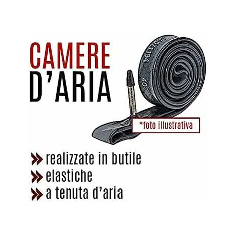 2 Camera d'aria Michelin 26x1,6/2,1 valvola Regina per bici 26 MTB Mountain Bik
