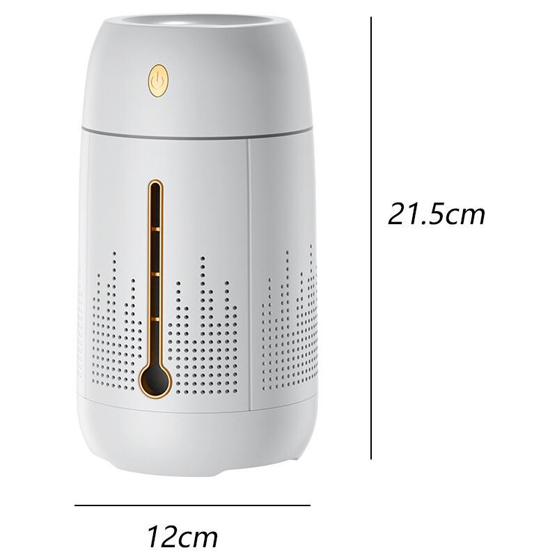 Randaco 8x Évaporateur en céramique Humidificateur d'air radiateur,  évaporateur d'eau chauffage, avec crochet pour suspendre, céramique, blanc  8x
