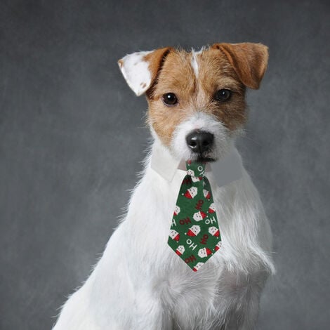 Tie à animaux de compagnie Tie à cravate ajusté Costume Colliers