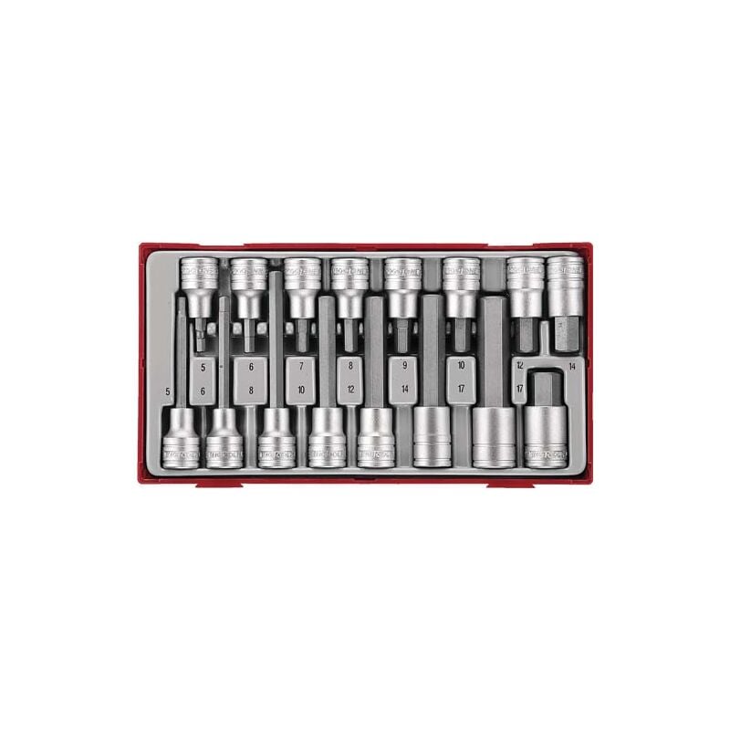 Lot de 16 verres  TENGTOOLS TTHEX16 237660105