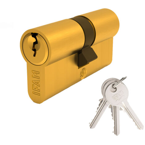 Verrouillage du barillet de démarrage STS3030 En laiton 30x30 mm IFAM (1/2)