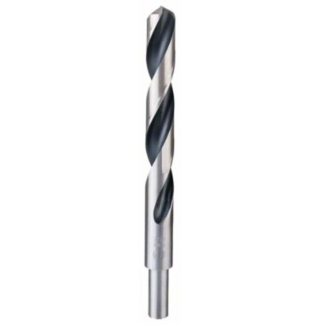 BOSCH 2608577312 MÉTAL SPIRALE HSS ACIER RAPIDE DIN338 17 X AL 125 MM POINTTEQ RS, 1 V