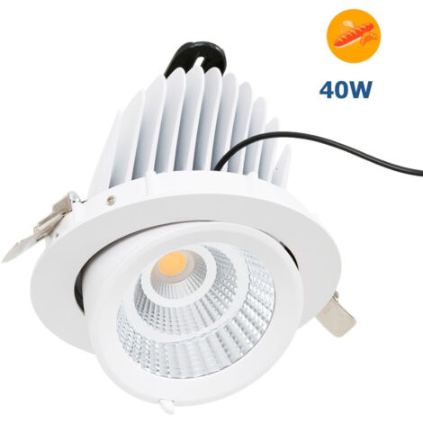 Downlight LED Basculante Empotrable - Chip Especial Para (1/5)