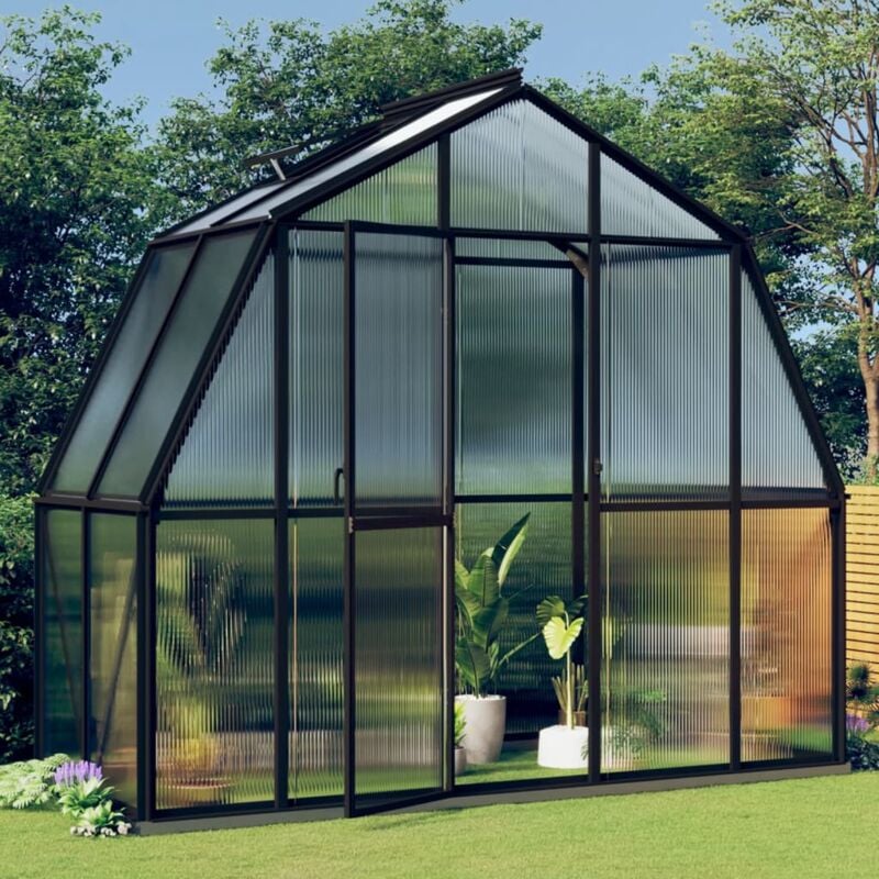 Serre de jardin polycarbonate avec base aluminium légume plante jardinage  5,85m³