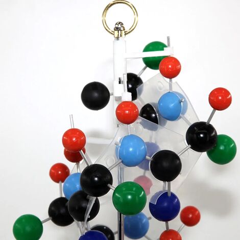 1 Stück Ball and Stick Protein Sekundärstruktur Modell Biologische