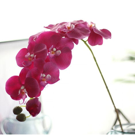 Orchidées Artificielles  Plante Artificielle Déco