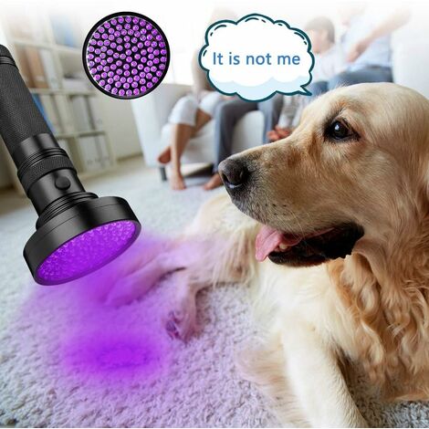 Lampe de poche UV 365 nm - Lumière noire - LED - Petite lampe de poche -  Détecteur de taches d'animaux domestiques - Pour chien et chat, punaises de