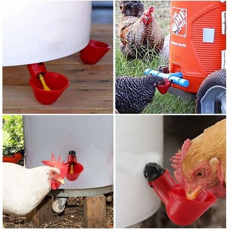 Dispositif Automatique De Fontaine À Boire De Poulet, Tasse Ronde Suspendue  Bol À Abreuvoir Pour Volaille De Compagnie Abreuvoir Domestique Pour  Animaux De Compagnie - Mangeoires Et Abreuvoirs - AliExpress