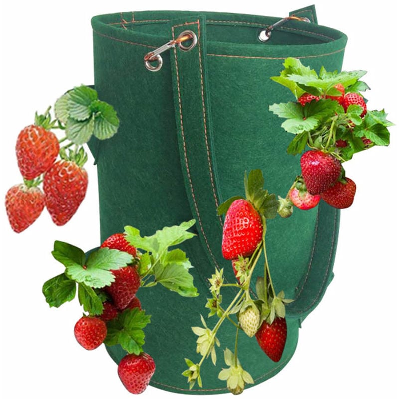 Bolsas de cultivo de fresas de 15 x 9 pulgadas con 8 orificios de cultivo Caja de macetero colgante Bolsa de cultivo de vegetales Bolsa de cultivo de flores de vegetales transpirable con asas, Verde