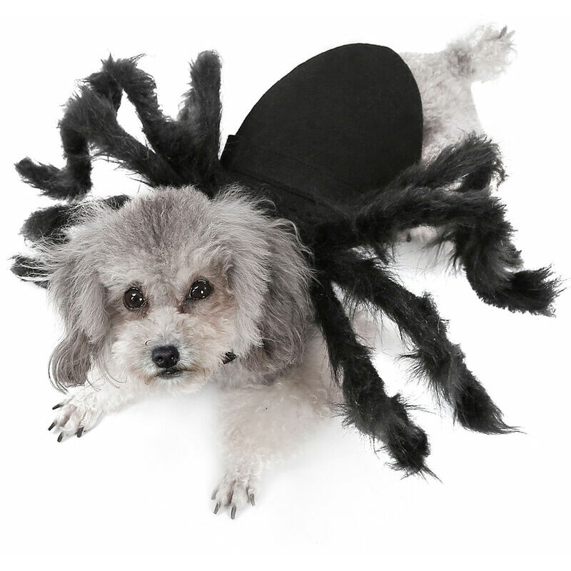 Disfraz de arana para perros y gatos de Halloween, trajes de fiesta para mascotas para perros pequenos, gatos, Negro, Medio - Negro, Medio