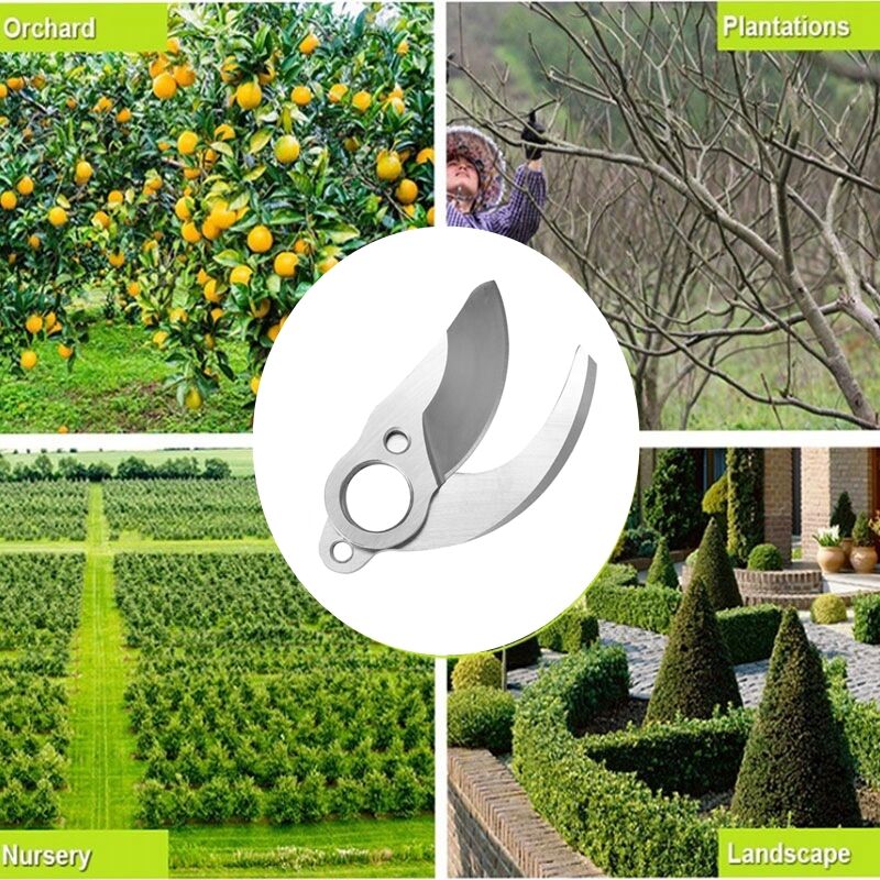 SECURA Lame (éjection) Compatible Avec Dehner ELO 47 Tondeuse à Gazon