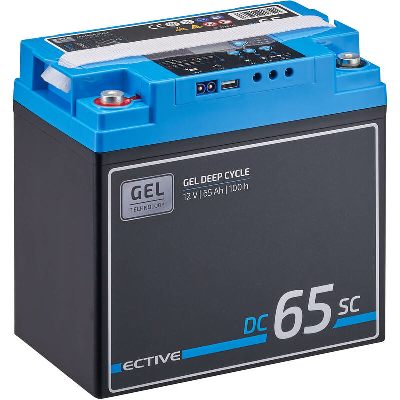 ECTIVE DC 65SC 12V 65Ah Gel Deep Cycle avec PWM-Chargeur et Ecran LCD Batterie  Décharge Lente 228 x 137 x 214 mm