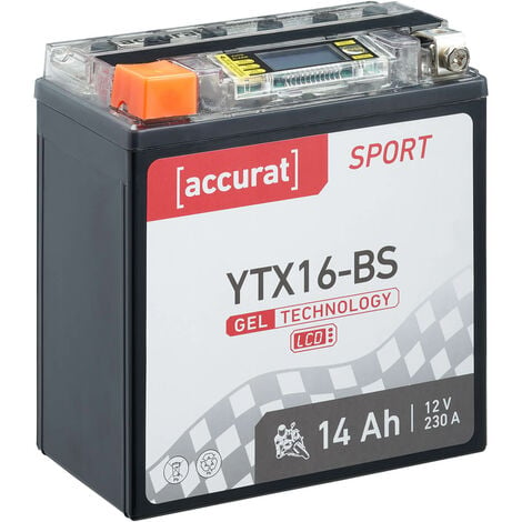 Accurat Sport Gel 12V 230 A YTX16-BS 14Ah Batterie moto 150 x 87 x 161