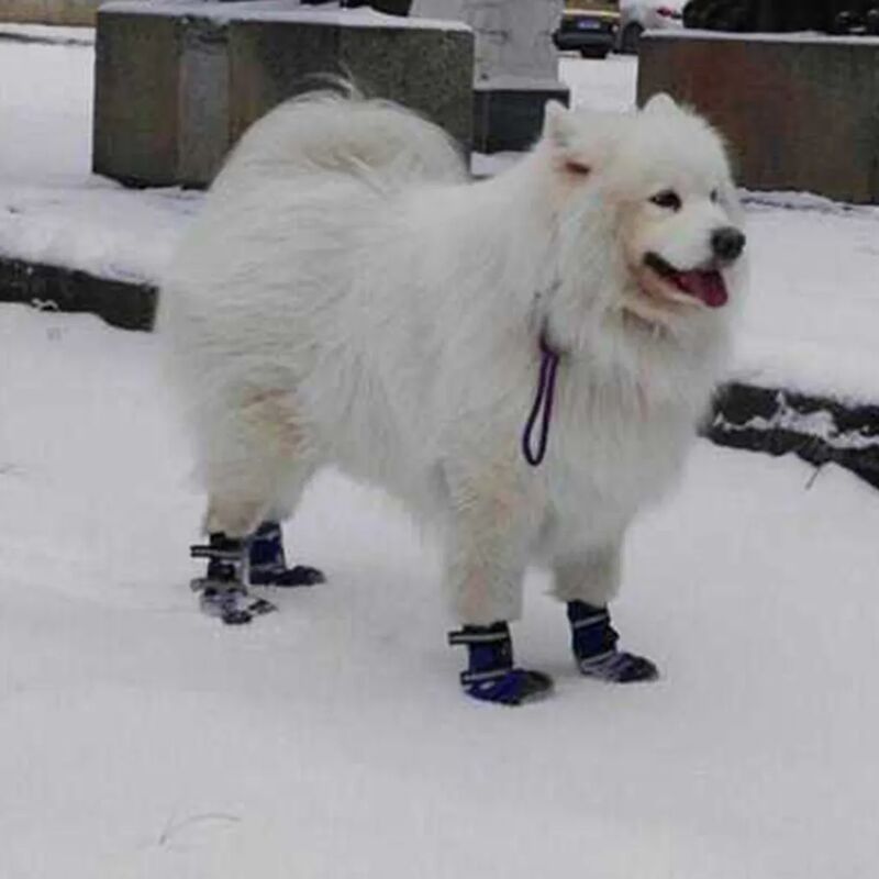 Scarpe Per Cani Con Suola Antiscivolo E Cinturino Riflettente – Proteggi Le Zampe Del Tuo Amico A Quattro Zampe Con Stile E Sicurezza, Ideali Per Piccola, Media E Grande Taglia