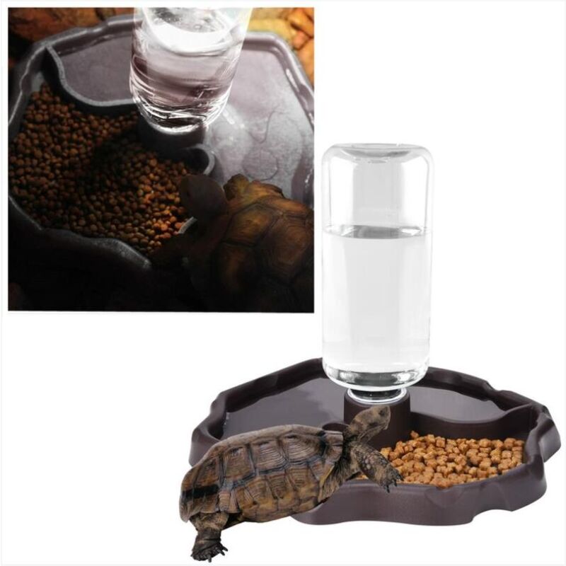 Ciotola Acqua Per Terrario In Resina - Design Roccia Realistico Per Rettili E Anfibi