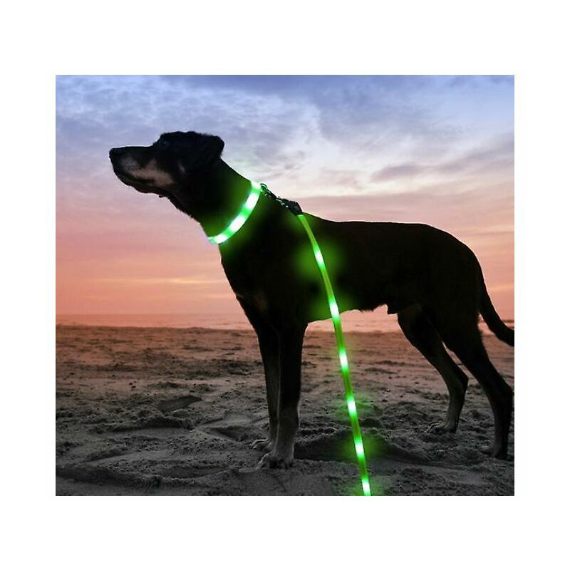 Luce Cane Pezzi Ciondolo Con Luce Lampeggiante A LED, Collare Per Cani A Luce Collare Cane - Foto 6