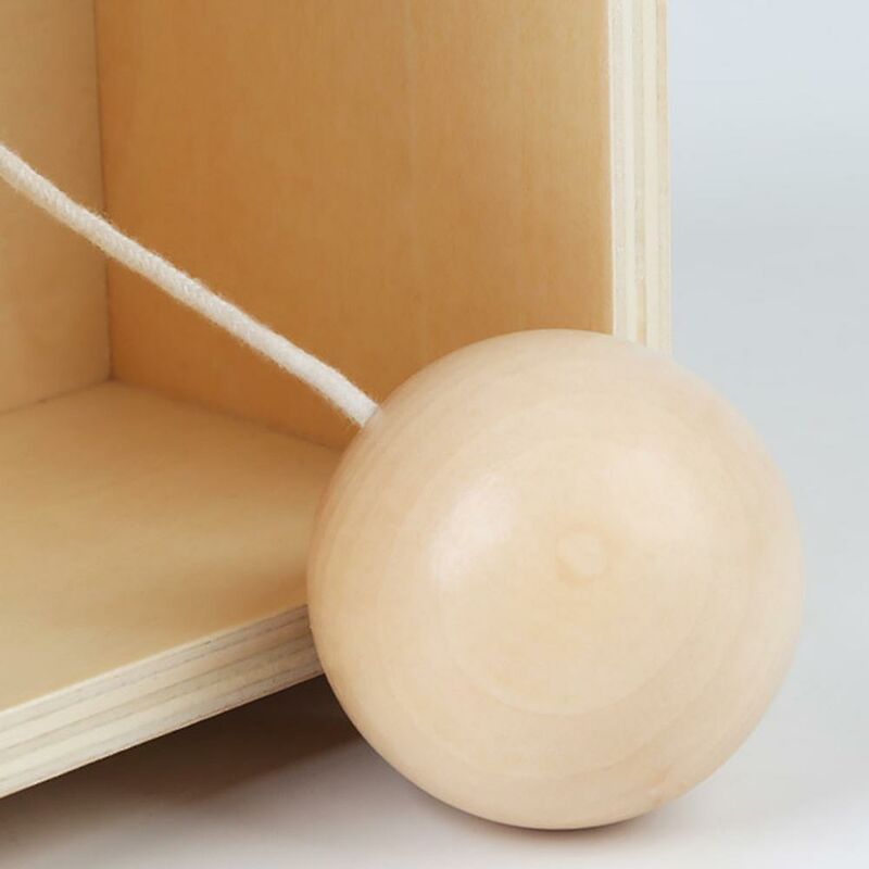 Toyvian Giocattoli Montessori Oggetto in Legno Scatola di Permanenza Coin&Ball 2-in-1 Drop Box per Giocattolo Educativo Infantile 12X12X8. 5 Cm