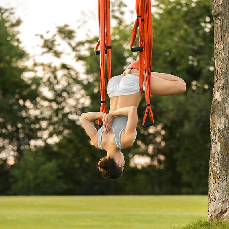 Amaca yoga, altalena del trapezio, amaca di inversione dell'altalena yoga  in nylon antigravità per ginnastica di pilates, altalena verticale di  allenamento (viola)