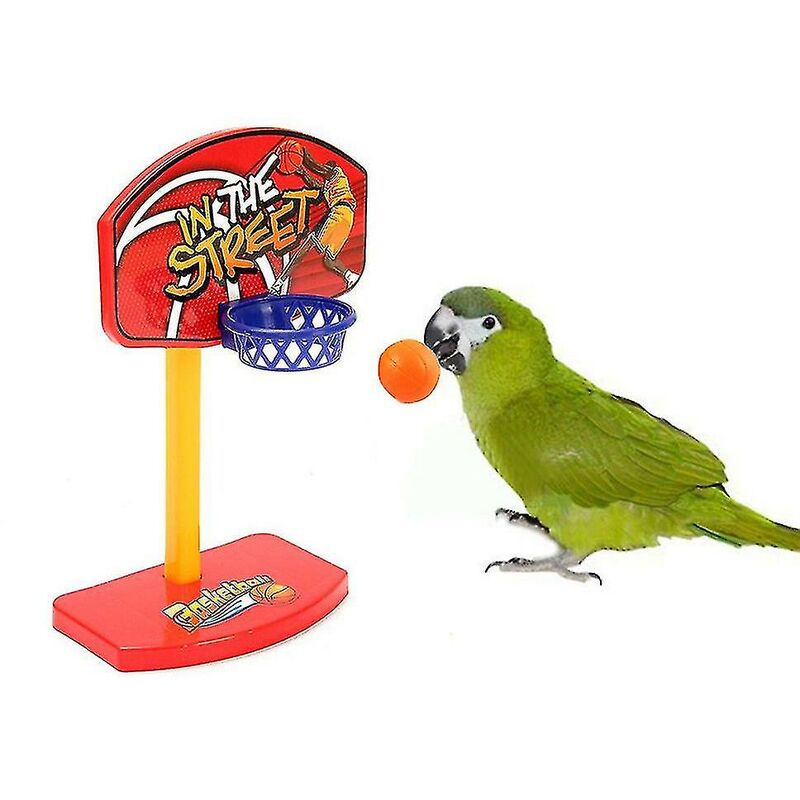 Pet Parrot Toys Birdie Basketball Hoop Balls Birds Parrocchetto Campana Prop Set da masticare