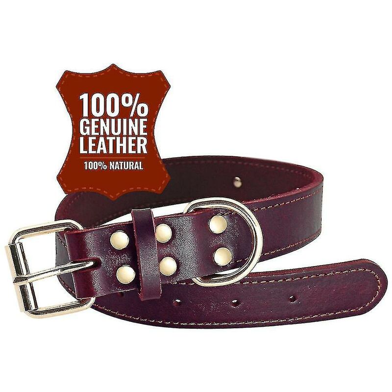 Collare Per Cani In Pelle Marrone Personalizzato / Collare Per Cani Imbottito Morbido Di Alta Qualità / Minuteria In Ottone / Collare Per Cani Inciso / Collare Per Cuccioli E Cani - Italia - Foto 2