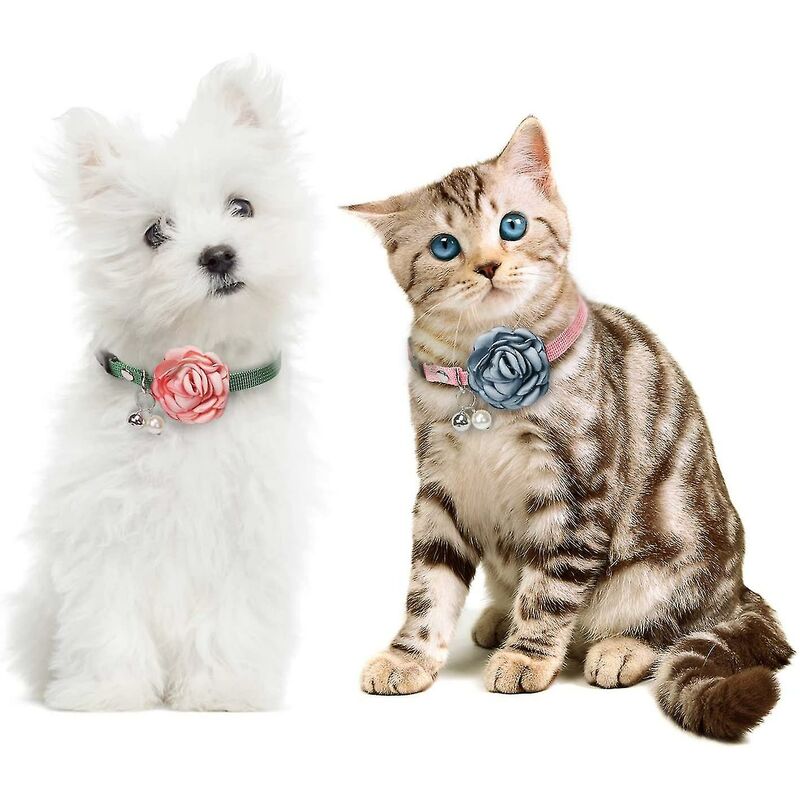 Collari E Cinturini Per Cani Taglia Piccola Con Gioiello, In Raso - Foto 6