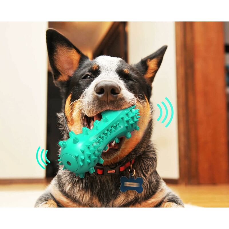 RHAFAYRE Giocattolo indistruttibile per cani di peluche per cuccioli Cani  di taglia grande Giocattoli per cani