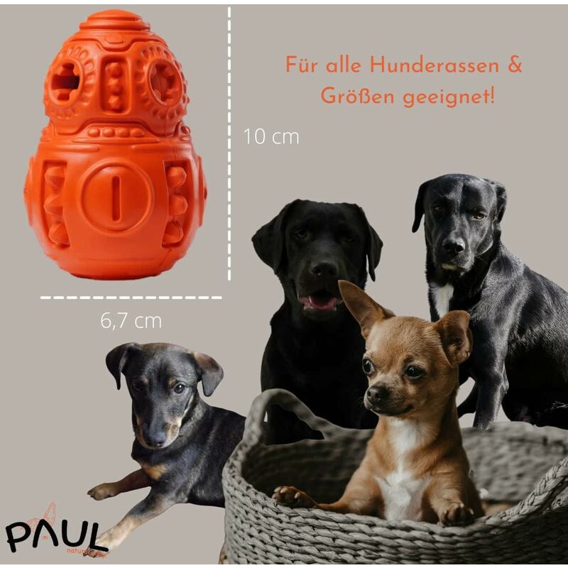 Giocattolo Da Masticare Per Cani Indistruttibile - Osso In Nylon Per Masticatori Aggressivi - Foto 11