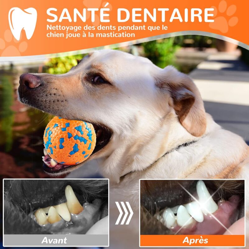 2 Giocattoli Per Cani A Forma Di Palla - Rugby E Calcio Con Cigolio Per Addestramento