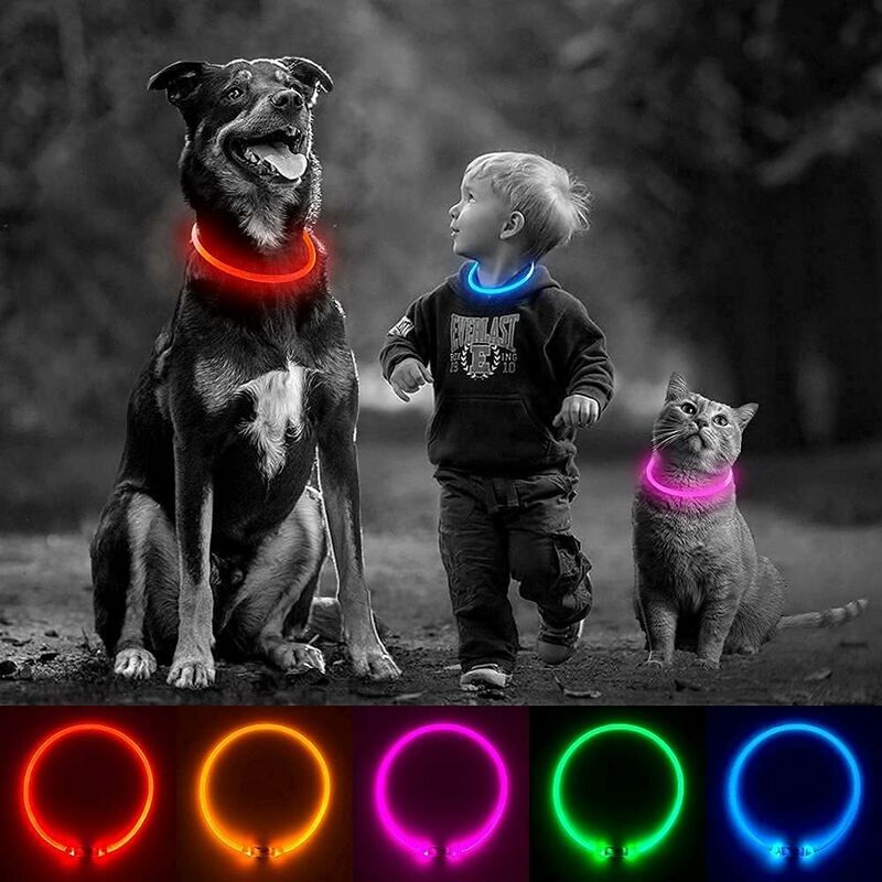 Collare per cani illuminato, LED ricaricabile tramite USB, può essere  tagliato a qualsiasi dimensione per cani di piccola, media e grande taglia.  (blu)