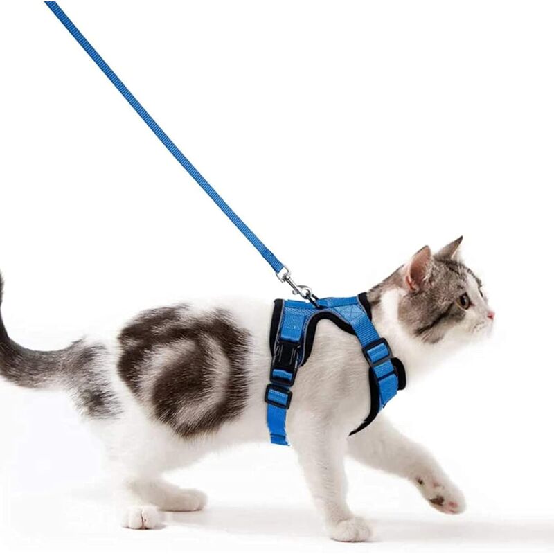 Gilet Sicurezza Riflettente Per Cani - Taglia L, Con Tracolla, Per Visibilit&agrave; Notturna E Diurna