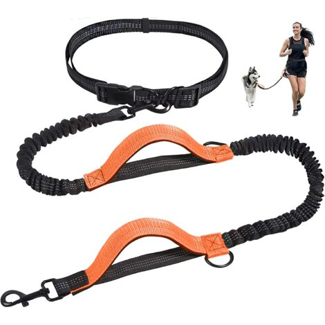 ROSSRORE Cintura Da Passeggio Per Cani A Mani Libere – Guinzaglio Elastico Assorbimento Trazione, Borse Impermeabili, Strisce Riflettenti