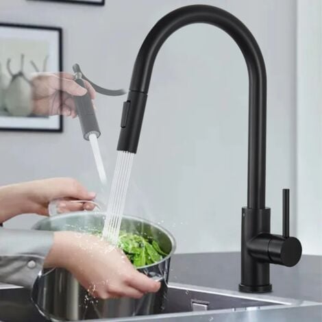 Rubinetto Estensibile Per Lavello Industriale - Acciaio Inox, Con Doccia A Spruzzo