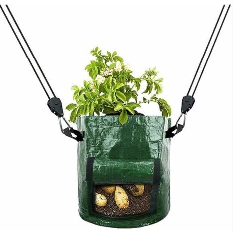 4 Cricchetti Corda Regolabili - Per Appendere Luci, Vasi, Ventilatori, Carico Fino A 65 Kg - Foto 7