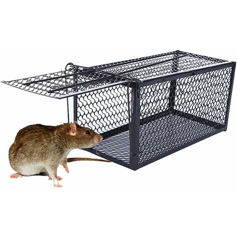 Southern Homewares Multi-Catch Trappola Per Topi Angolare | Riutilizzabile Con Coperchio Trasparente | Meccanismo Senza Esca E Senza Inceppamenti