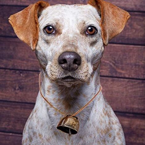 Statua Angelo Per Ricordo Animali Domestici - Regalo Commemorativo Per La Perdita Di Un Cane, Resina - Foto 6