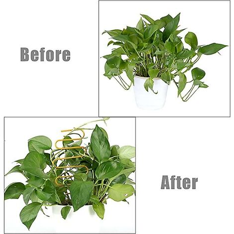 Traliccio per Piante Rampicanti da 3 Pezzi, Traliccio da Giardino in Metallo, Paletto per Piante Rampicanti per Interni Ed Esterni, Gabbia per Piante per Ortaggi Floreali, Fiori, Gabbia per(Nero