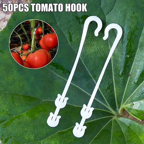 10/20pcs Clip Per Serra Di Fissaggio, 2x3,2 Cm, In Plastica, Per Piante Rampicanti E Teli Ombreggianti - 2