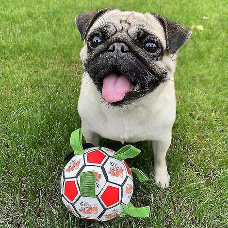 Calcio giocattolo per morso di cane