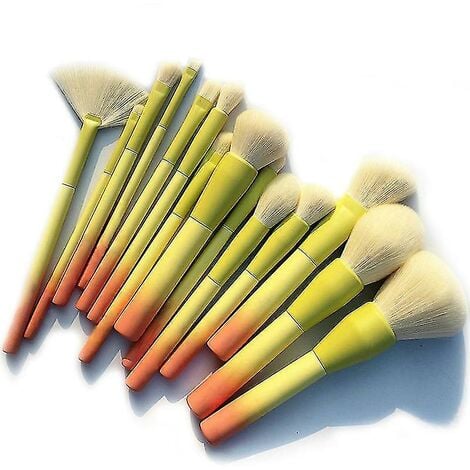 Set di pennelli per trucco Pro Gradient Color 14 pezzi Strumento per il  trucco in polvere