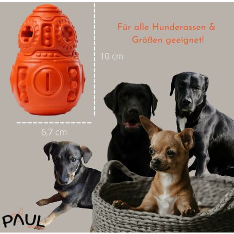 Giocattolo Per Cani Indistruttibile A Forma Di Orso - Con Squittio, Per Masticatori Forti - Foto 4