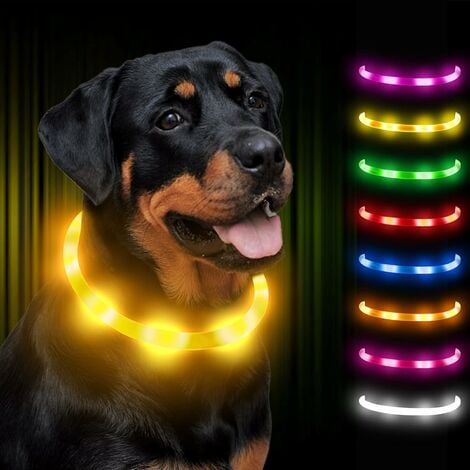 Collare luminoso a LED ricaricabile regolabile per cani di taglia piccola,  grande e media - Giallo
