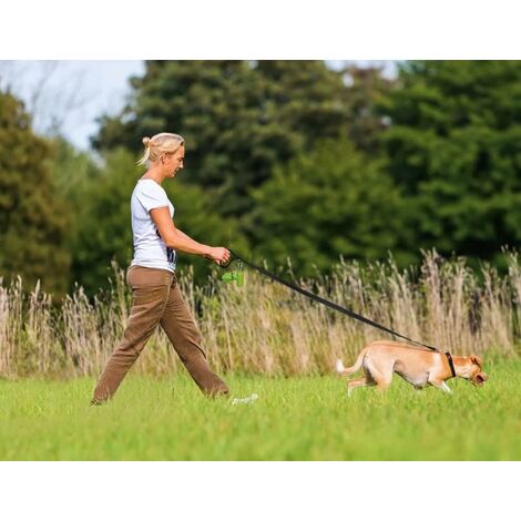 Guinzaglio Retrattile Con Torcia Led E Porta Sacchetti Per Cane e Gatti 2  Colori