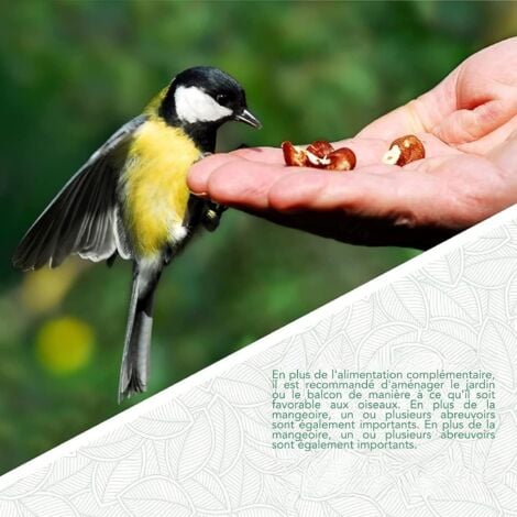 Mangiatoia Per Uccelli, Pratica Protezione Avvolgente A Prova - Foto 5