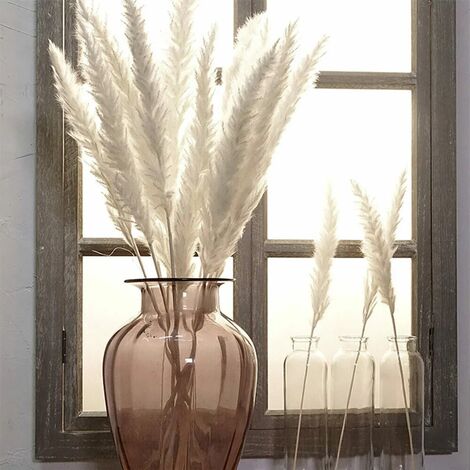Fiori Veri HTN - 60pcs 40 Cm Fiori Secchi Naturali Pampas Erba, Bouquet Di Fiori Fiori Secchi Bianchi - 7