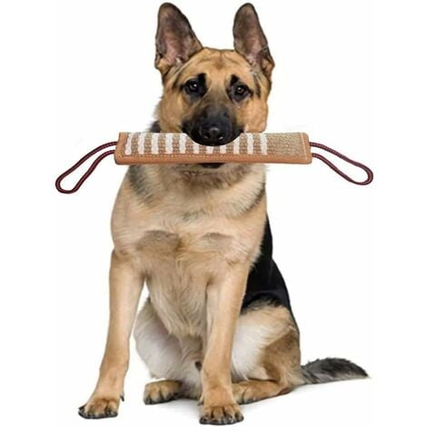 Molari per cani resistente al morso per interni forte palla con coulisse  giocattolo per cani porta tirare la corda palla giocattolo cane  rimorchiatore di guerra giocattolo per cani forniture per animali domestici  