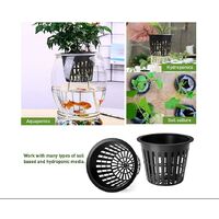 Net Pot Cup, 10 Vasi A Rete Per Idroponica, Cestini In Plastica Nera, Diametro 5,5 Cm, Per Giardino E Balcone