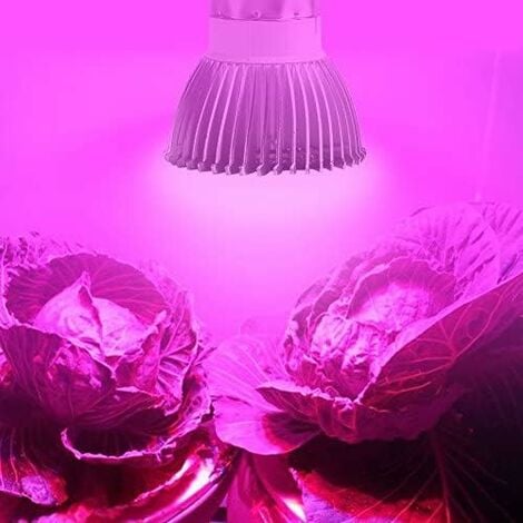 LED Élèvent La Lumière USB Phyto Lampe Spectre Complet 6000K Phytolamp  Horticole Avec Contrôle Culture D'intérieur Plante Floraison - Temu  Switzerland