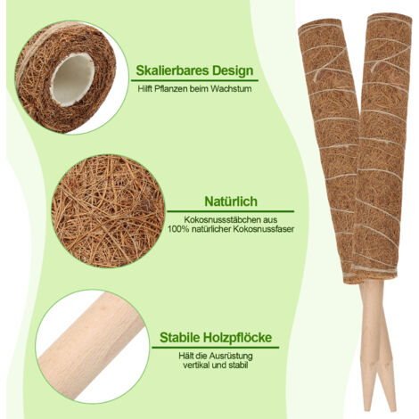 2X Pflanzstab Moosstab 40 cm für Monstera Kokos Natural Pflanzenstab